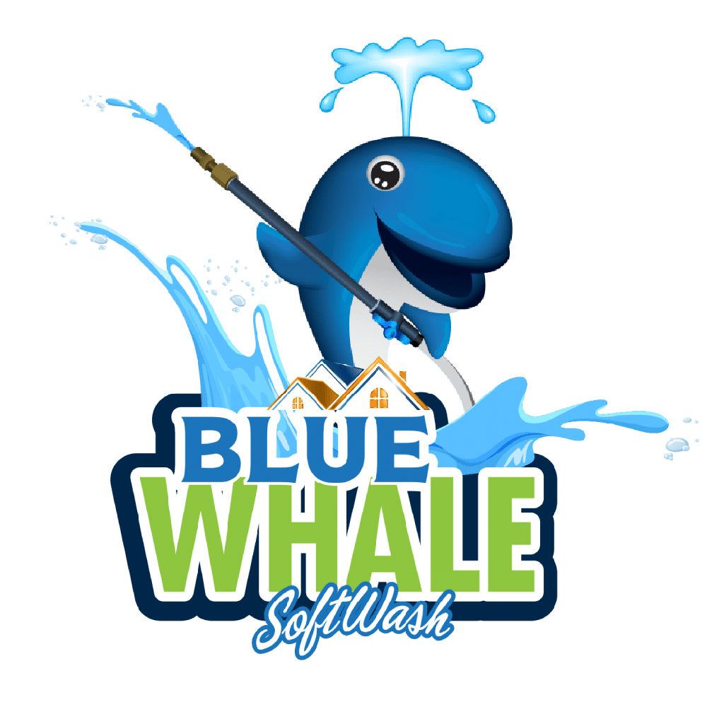 Blue Whale SWS Logo