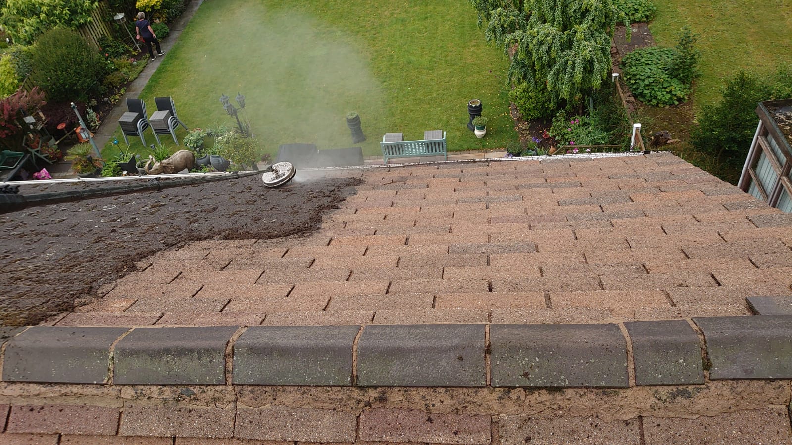 Is Your Roof Hiding a Moldy Secret? Find Out Here!