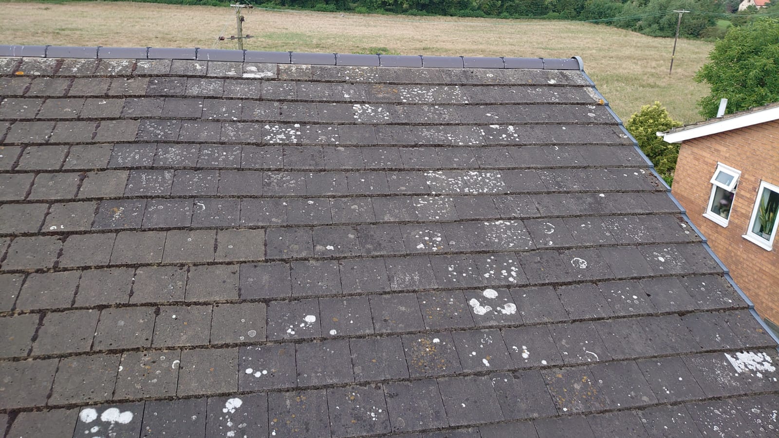 Unveiling the Secret to Moss-Free Roofs in Doncaster