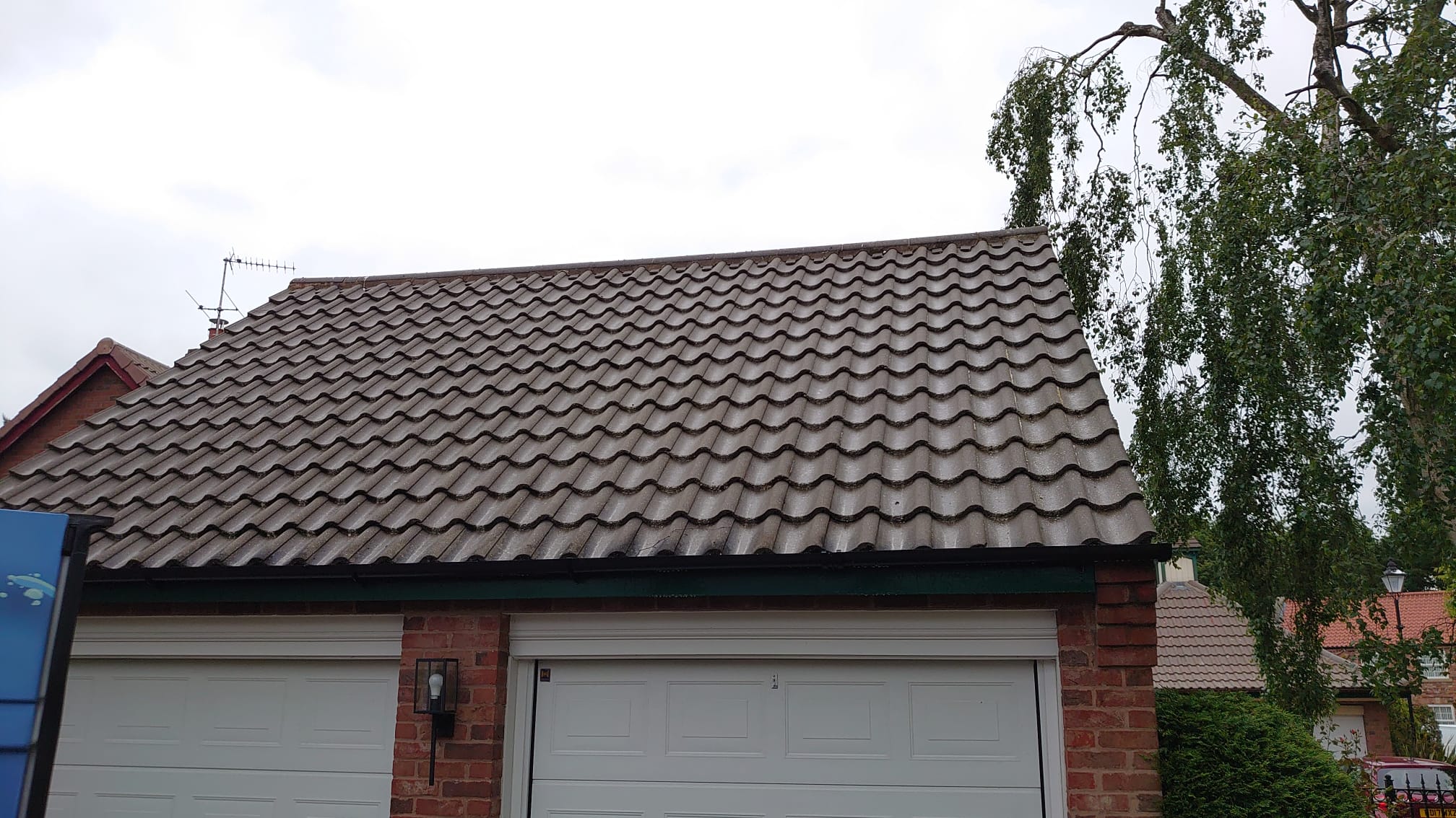 Doncaster's Roof Cleaning Experts: Blue Whale SWS Spills the Secrets!