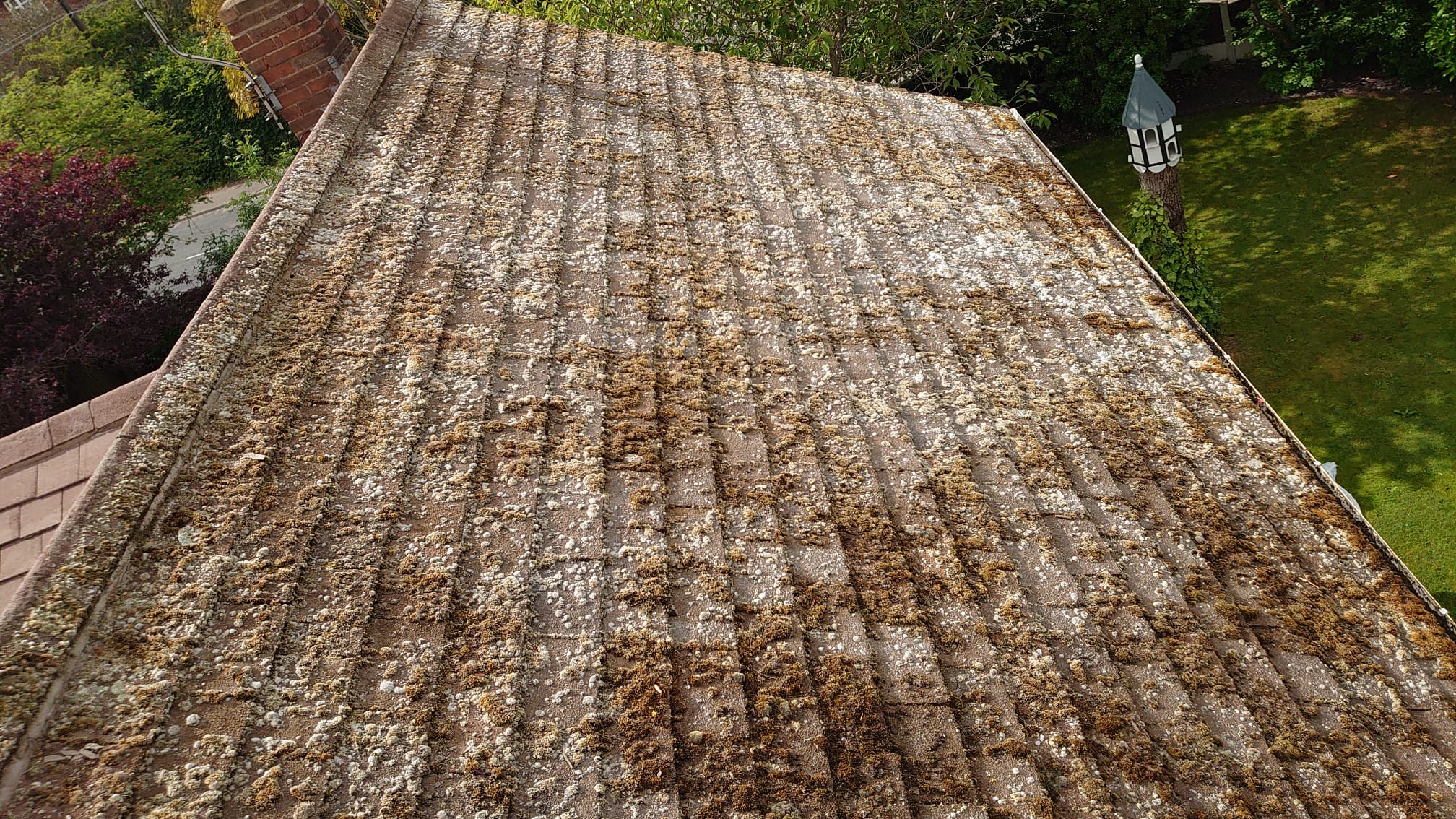 Say Goodbye to Roof Mold: Doncaster's Solution Revealed