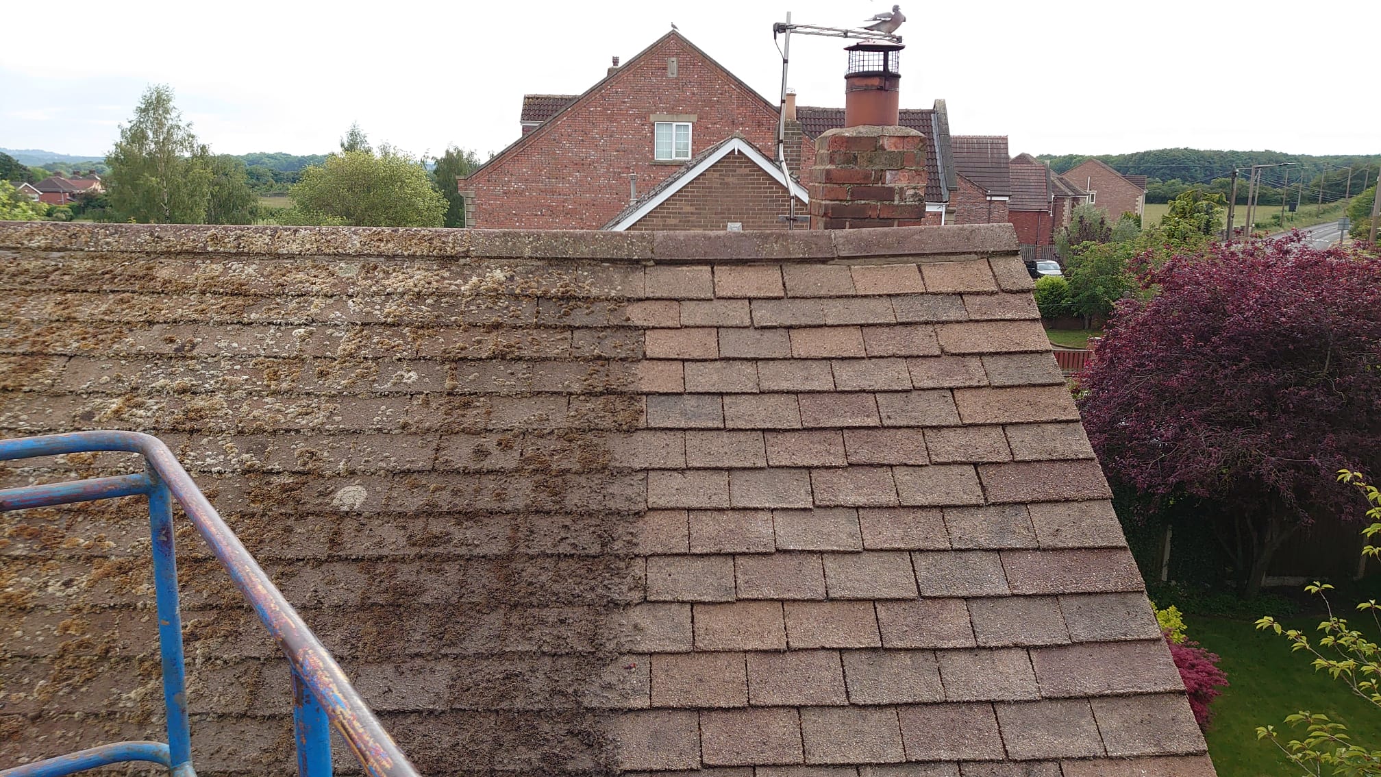 Say Goodbye to Roof Mold: Doncaster's Solution Revealed