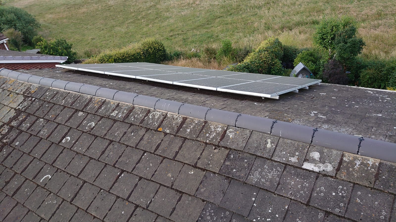 Moss Invasion Alert: How to Rescue Your Doncaster Roof