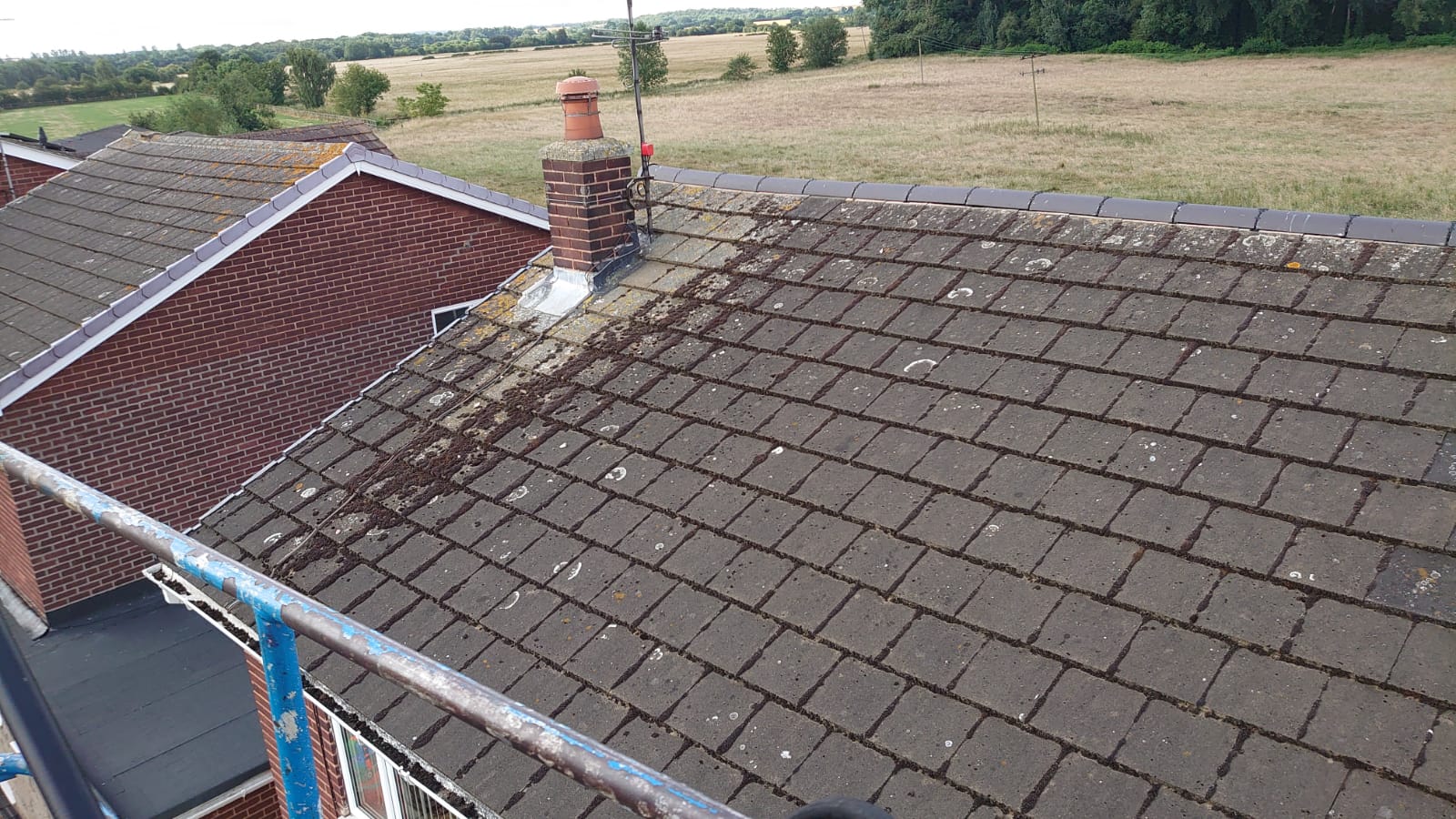 Moss Invasion Alert: How to Rescue Your Doncaster Roof