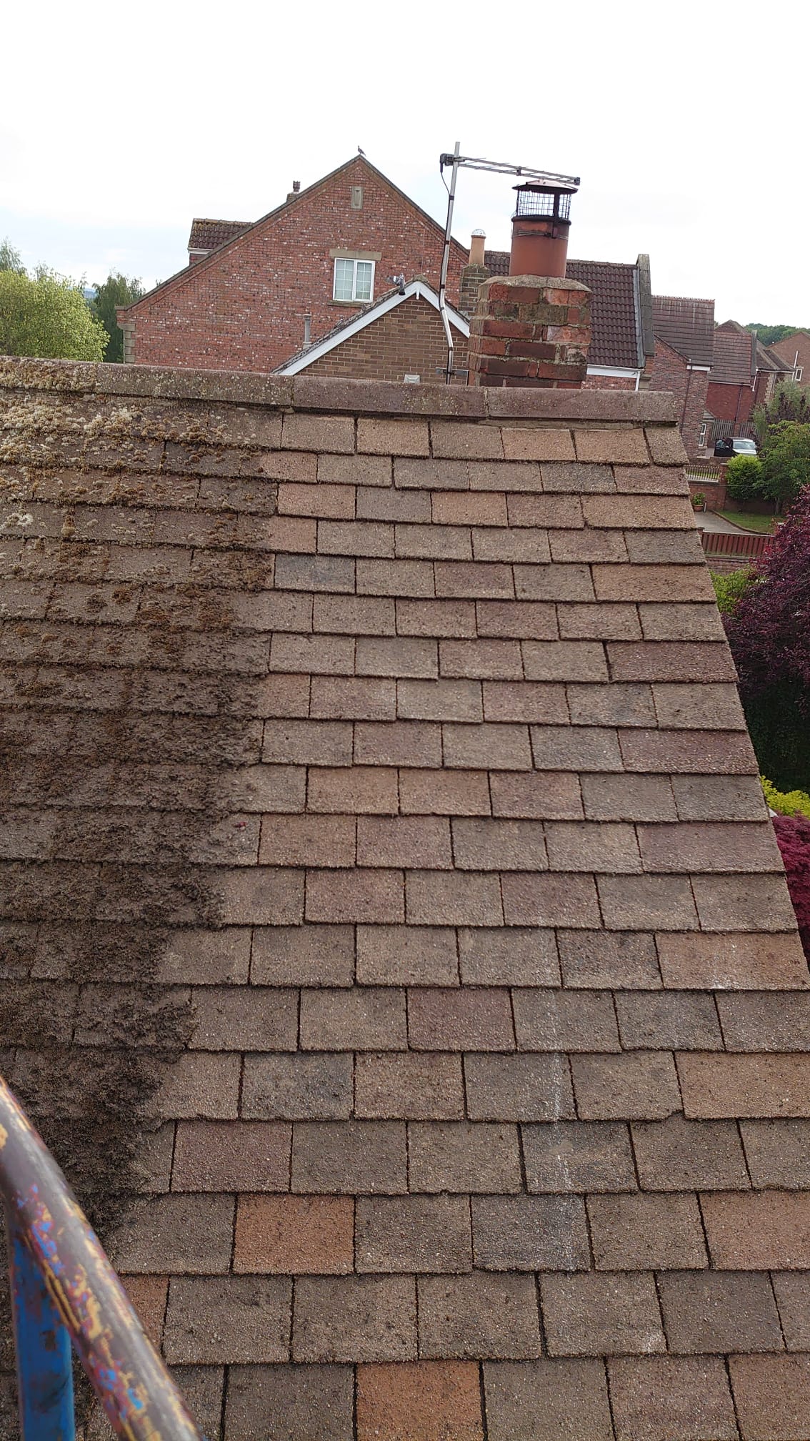The Roof Cleaning Revolution: Are You In or Out?